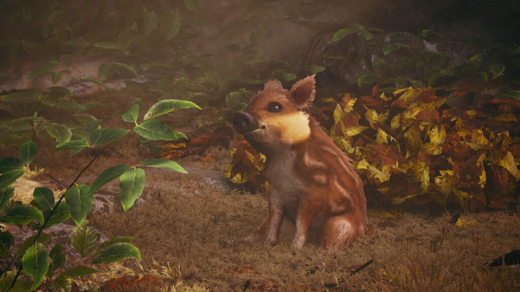 Adorable Adventures