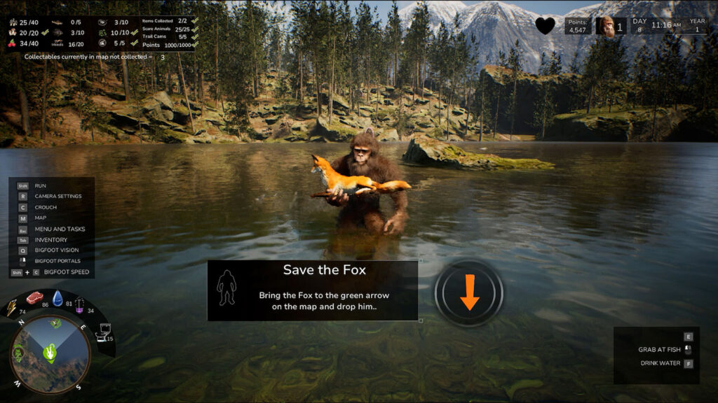 Bigfoot Life