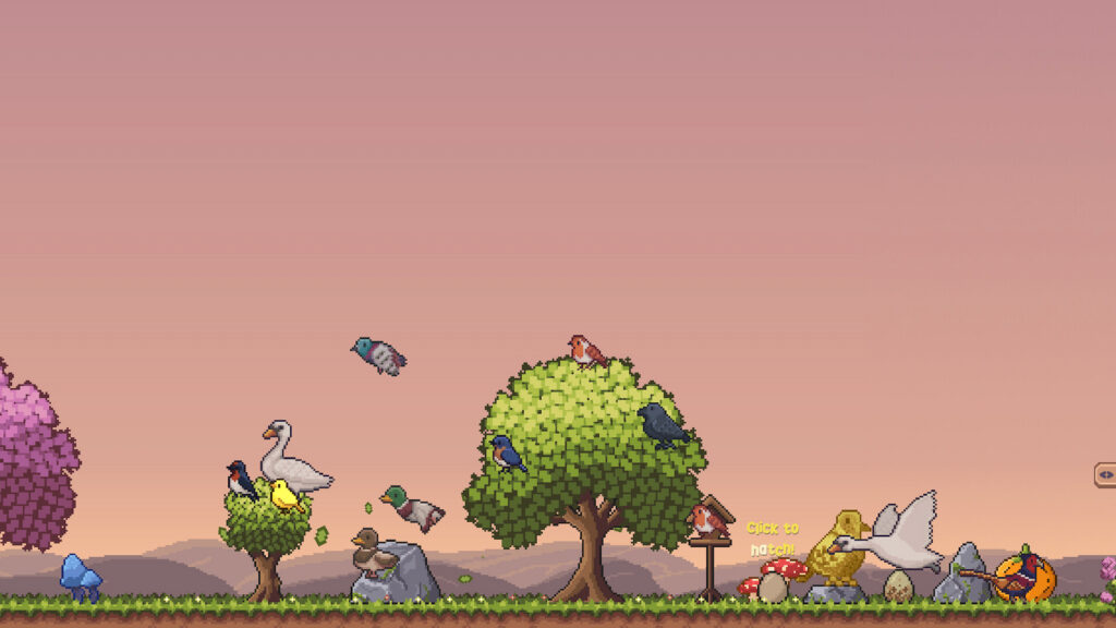 Little Aviary - Cozy Game - Cozy bird game