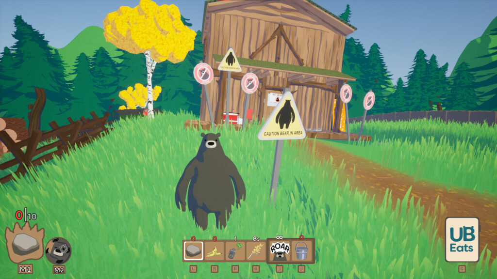 Your Average Bear