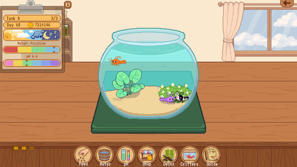 Tiny Glass Tank: Dwarf Shrimp and Friends