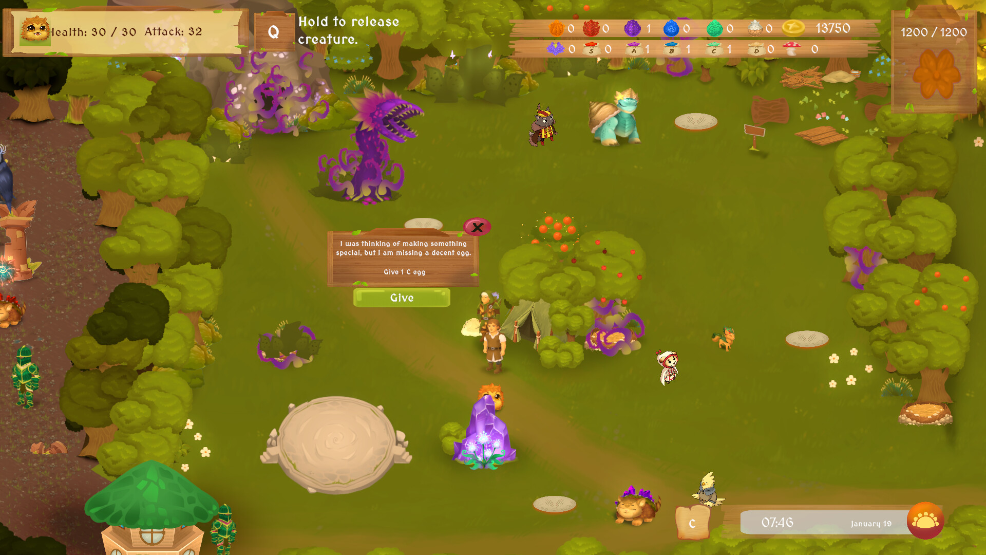 Your Fantasy Pets